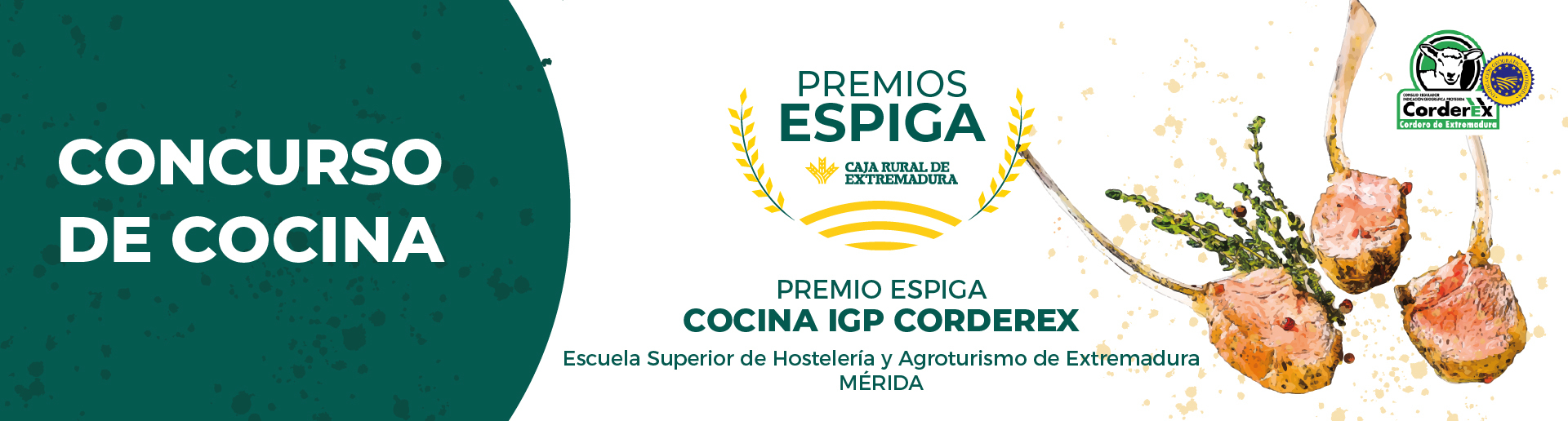 XVI PREMIO ESPIGA